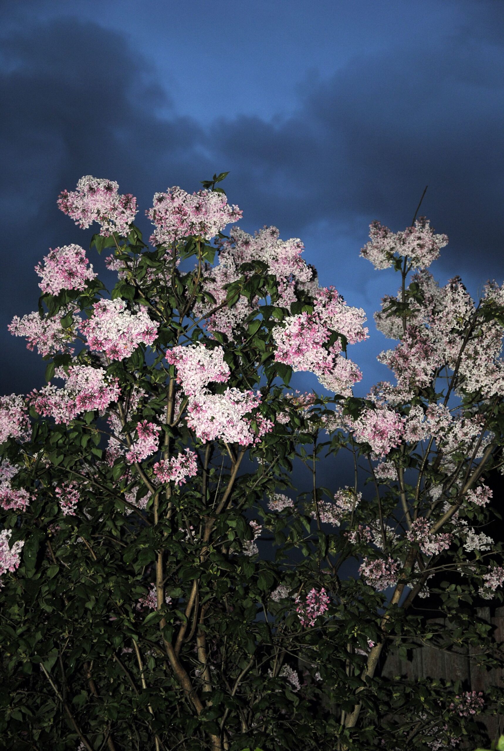 Post image for 